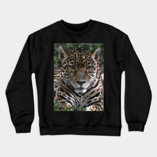 Jaguar Crewneck Sweatshirt